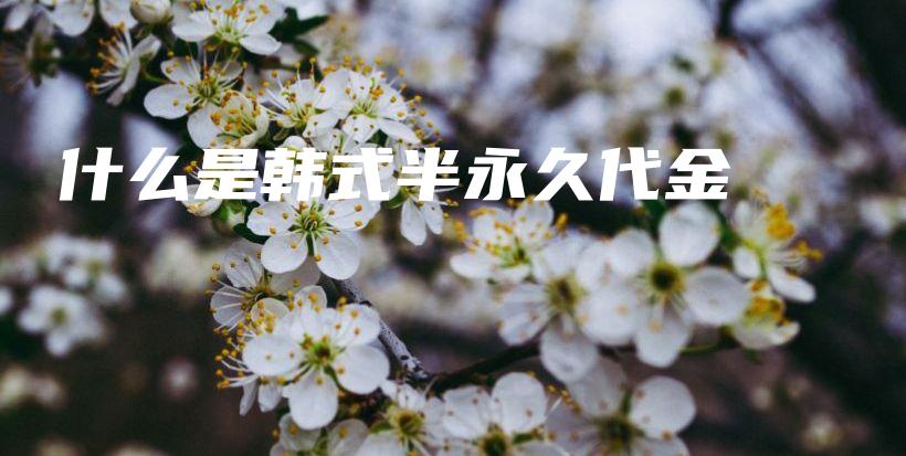 什么是韓式半永久代金劵插圖