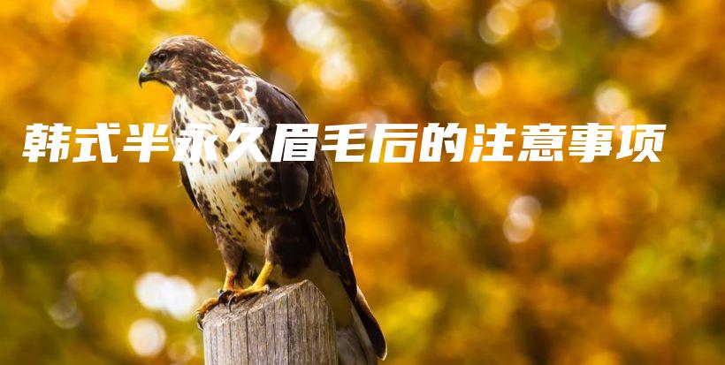 韓式半永久眉毛后的注意事項(xiàng)插圖