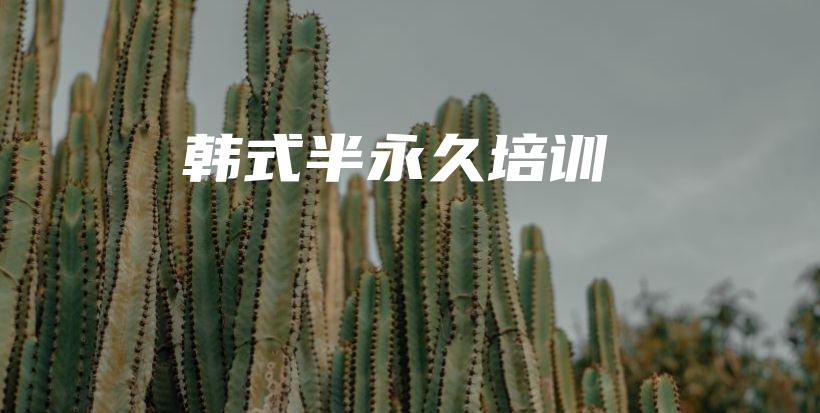 韓式半永久培訓(xùn)插圖