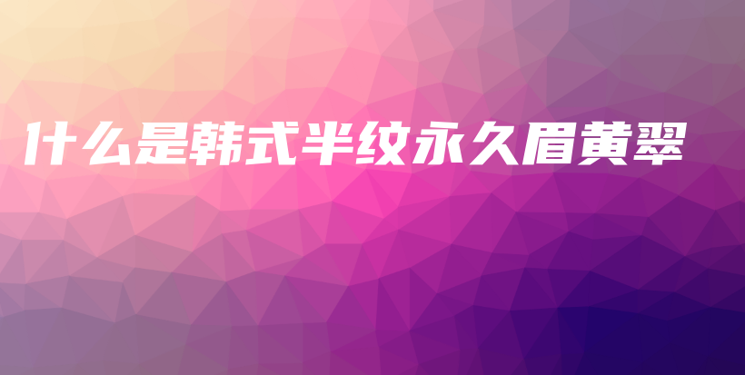 什么是韓式半紋永久眉黃翠插圖