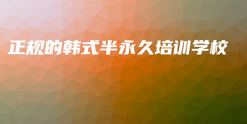 正規(guī)的韓式半永久培訓(xùn)學(xué)校插圖