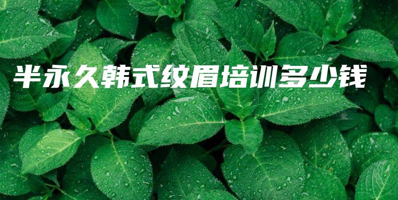 半永久韓式紋眉培訓多少錢插圖