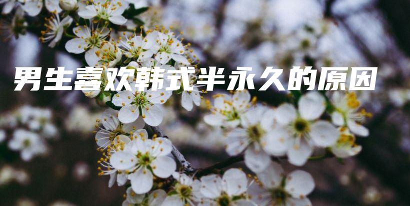 男生喜歡韓式半永久的原因插圖