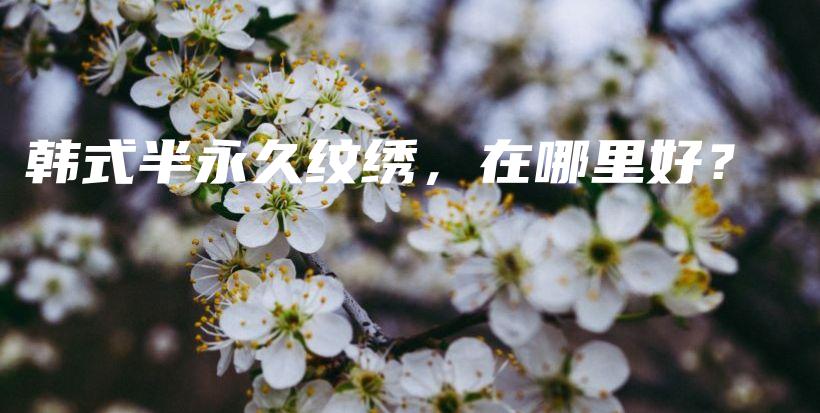韓式半永久紋繡，在哪里好？插圖