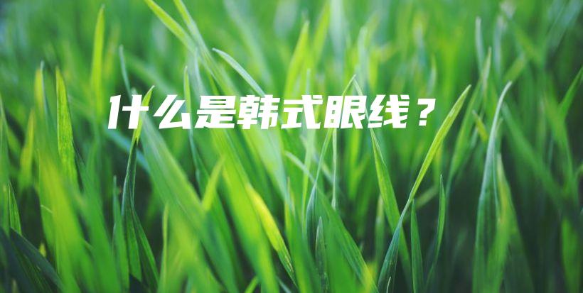 什么是韓式眼線？插圖