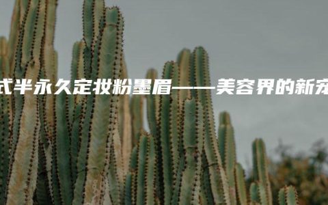 韓式半永久定妝粉墨眉——美容界的新寵