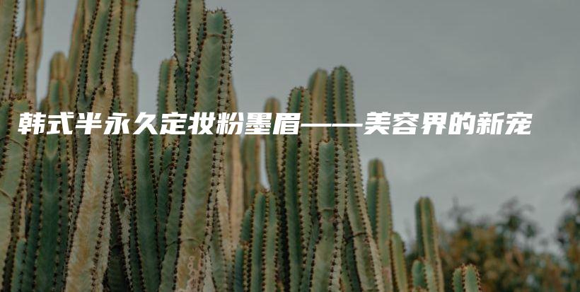 韓式半永久定妝粉墨眉——美容界的新寵插圖
