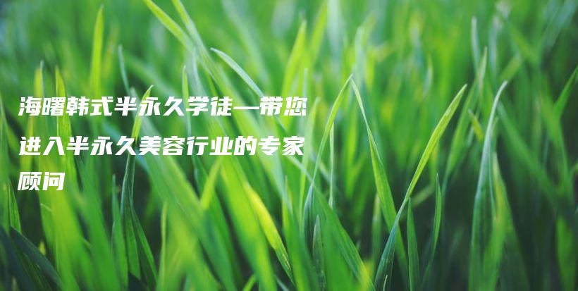 海曙韓式半永久學徒—帶您進入半永久美容行業(yè)的專家顧問插圖