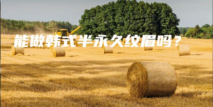 能做韓式半永久紋眉嗎？插圖