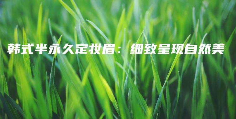韓式半永久定妝眉：細致呈現(xiàn)自然美插圖