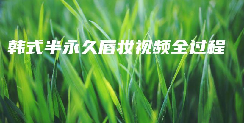 韓式半永久唇妝視頻全過程插圖