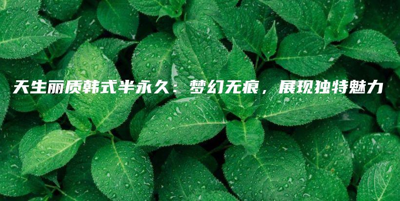 天生麗質(zhì)韓式半永久：夢(mèng)幻無(wú)痕，展現(xiàn)獨(dú)特魅力插圖