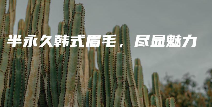 半永久韓式眉毛，盡顯魅力插圖