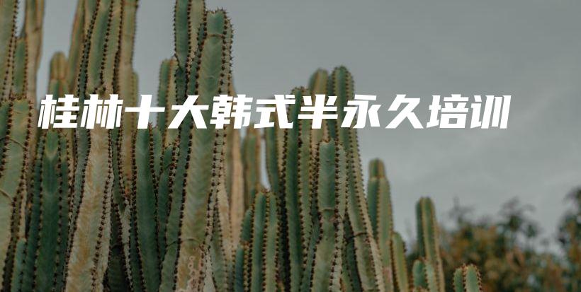 桂林十大韓式半永久培訓(xùn)插圖