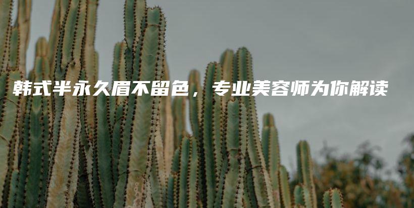 韓式半永久眉不留色，專業(yè)美容師為你解讀插圖