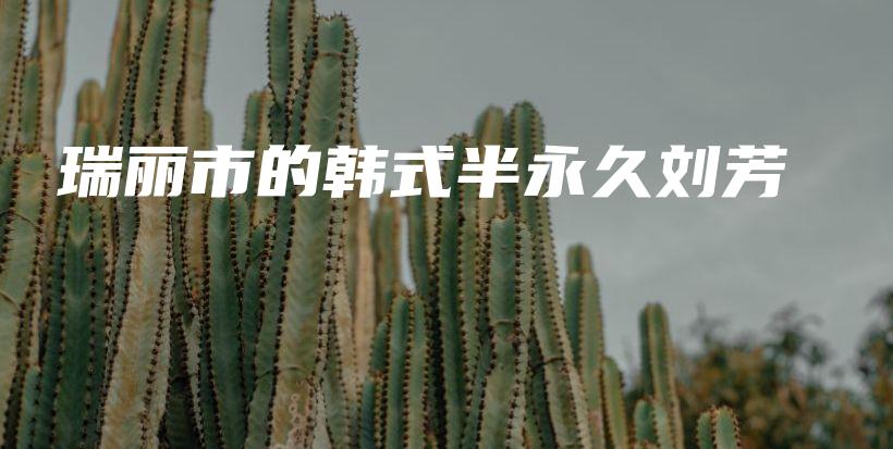 瑞麗市的韓式半永久劉芳插圖