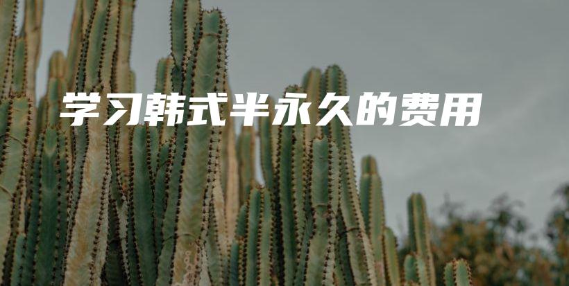 學(xué)習(xí)韓式半永久的費(fèi)用插圖