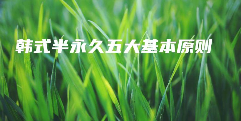 韓式半永久五大基本原則 – Anne美學(xué)插圖4