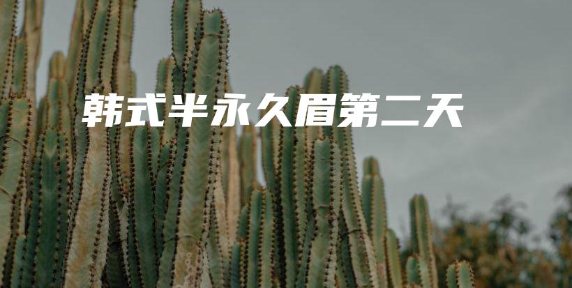 韓式半永久眉第二天插圖