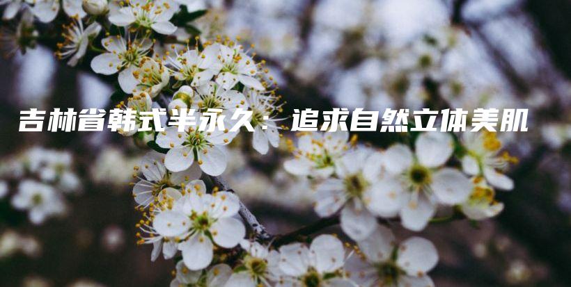 吉林省韓式半永久：追求自然立體美肌插圖