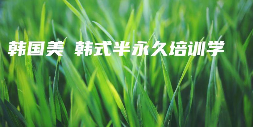 韓國美娮韓式半永久培訓學插圖