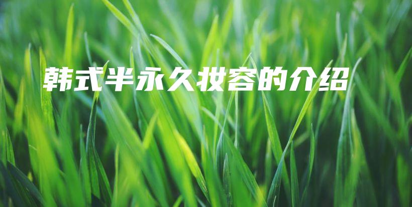 韓式半永久妝容的介紹插圖