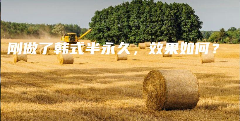 剛做了韓式半永久，效果如何？插圖