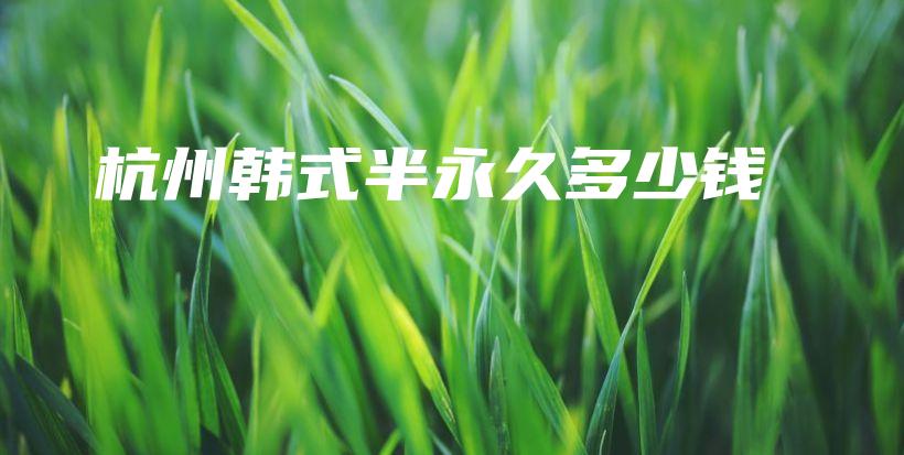 杭州韓式半永久多少錢插圖