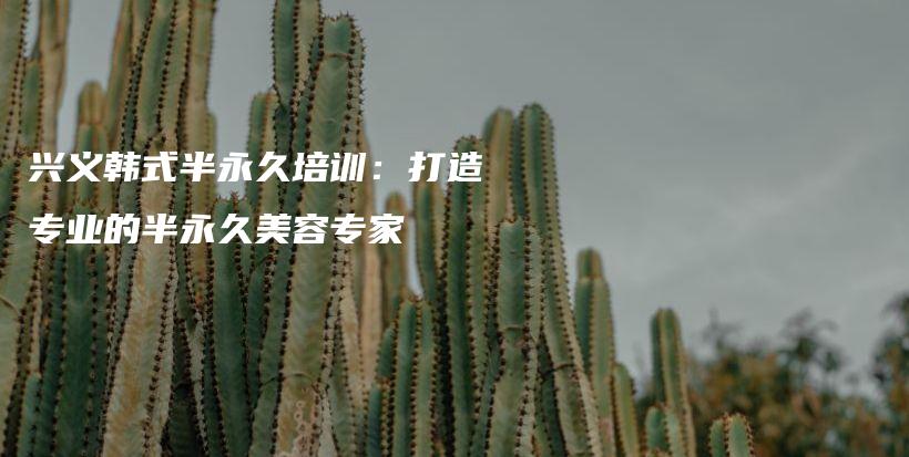 興義韓式半永久培訓(xùn)：打造專業(yè)的半永久美容專家插圖
