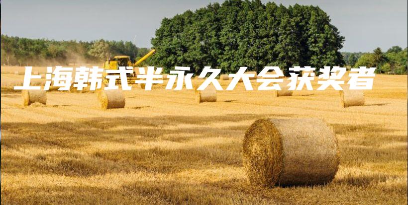 上海韓式半永久大會(huì)獲獎(jiǎng)?wù)卟鍒D