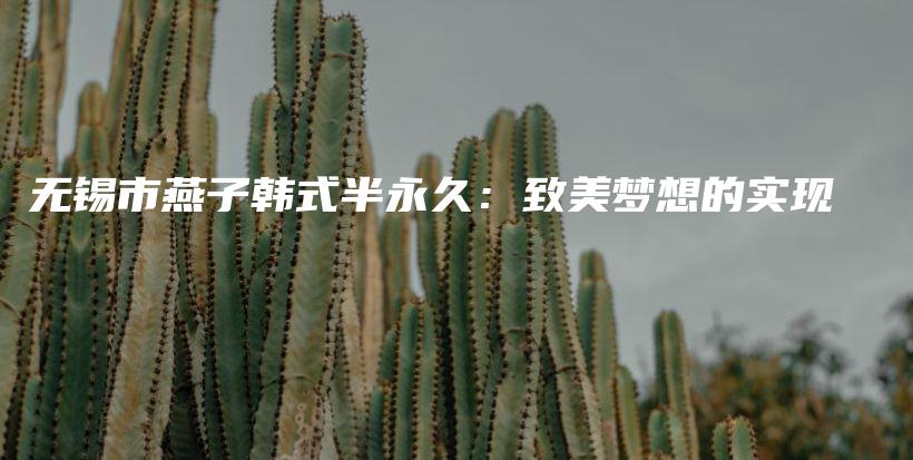 無錫市燕子韓式半永久：致美夢(mèng)想的實(shí)現(xiàn)插圖