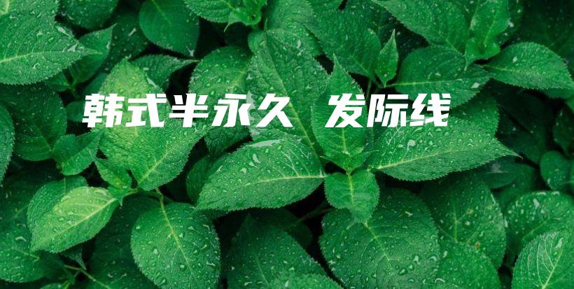 韓式半永久 發(fā)際線插圖