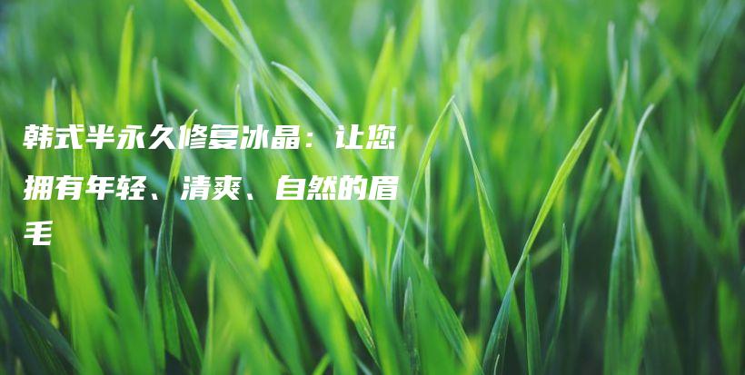 韓式半永久修復(fù)冰晶：讓您擁有年輕、清爽、自然的眉毛插圖