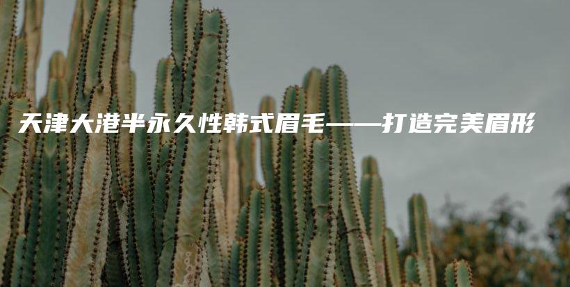 天津大港半永久性韓式眉毛——打造完美眉形插圖