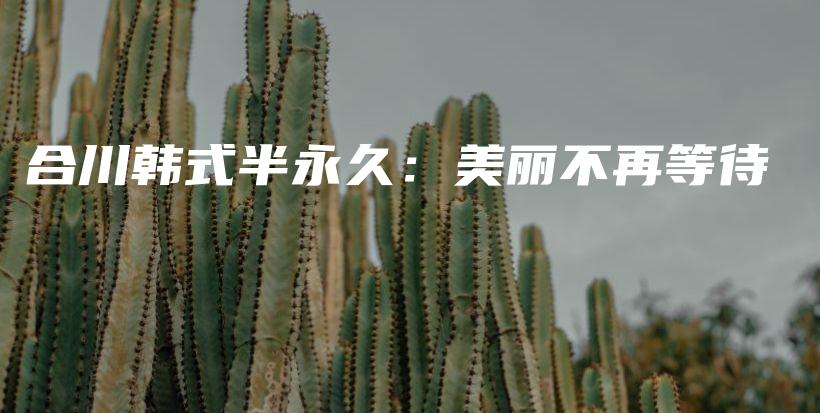 合川韓式半永久：美麗不再等待插圖