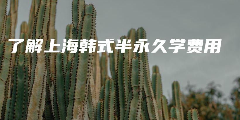 了解上海韓式半永久學費用插圖