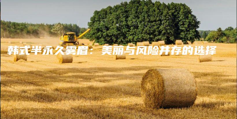 韓式半永久霧眉：美麗與風險并存的選擇插圖