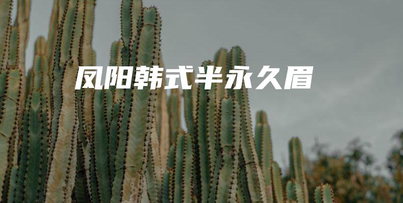 鳳陽韓式半永久眉插圖
