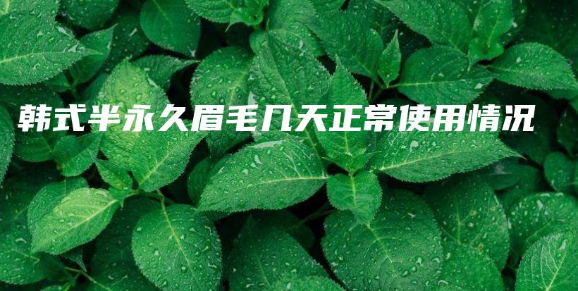 韓式半永久眉毛幾天正常使用情況插圖