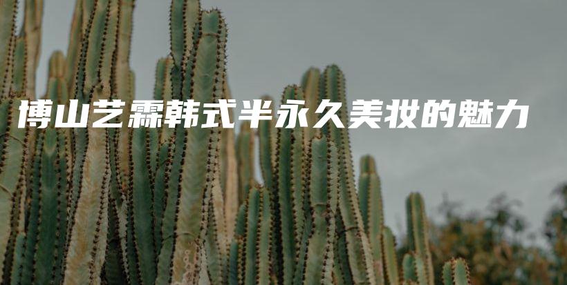博山藝霖韓式半永久美妝的魅力插圖