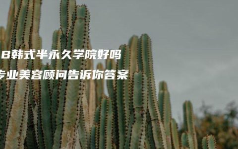 DYB韓式半永久學(xué)院好嗎？專(zhuān)業(yè)美容顧問(wèn)告訴你答案！