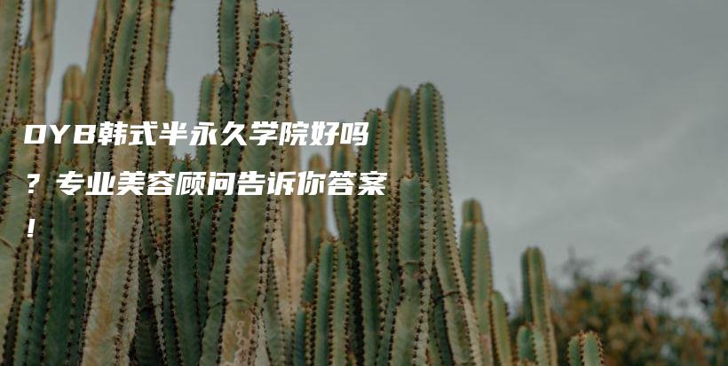 DYB韓式半永久學(xué)院好嗎？專業(yè)美容顧問告訴你答案！插圖