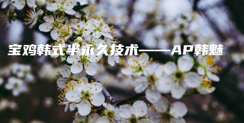 寶雞韓式半永久技術——AP韓魅插圖