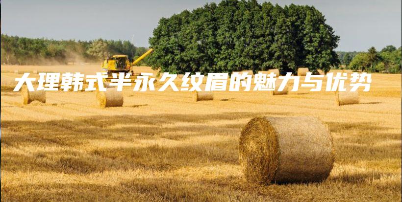 大理韓式半永久紋眉的魅力與優(yōu)勢(shì)插圖