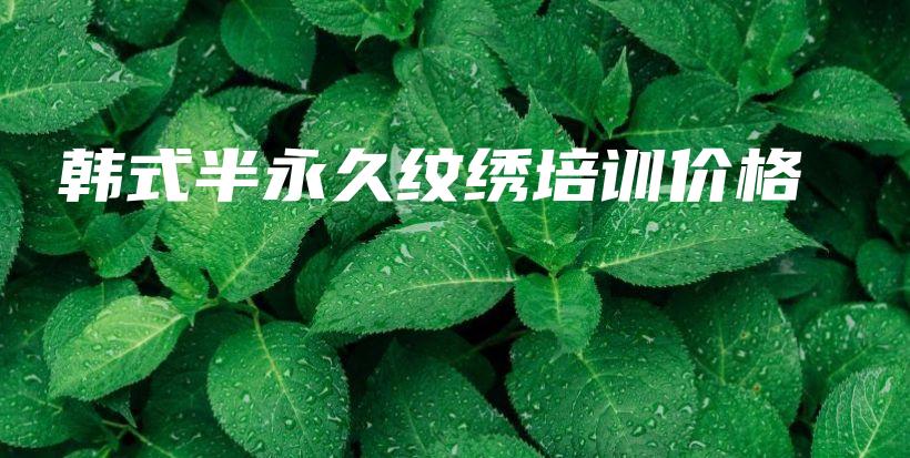 韓式半永久紋繡培訓(xùn)價格插圖