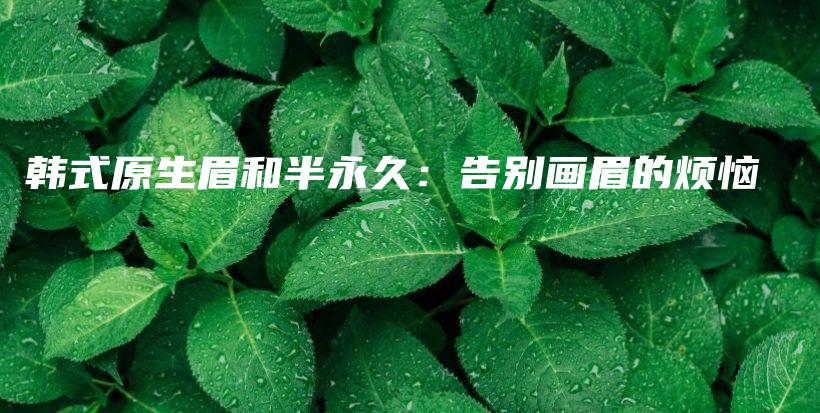 韓式原生眉和半永久：告別畫眉的煩惱插圖
