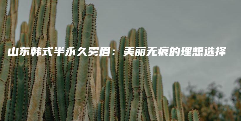 山東韓式半永久霧眉：美麗無(wú)痕的理想選擇插圖