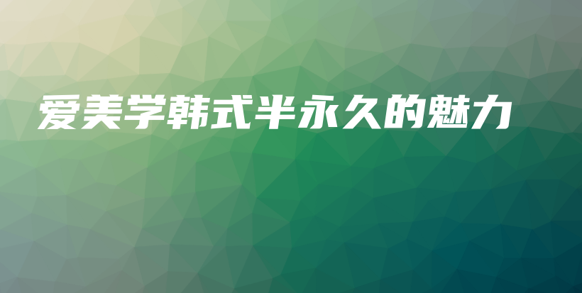 愛(ài)美學(xué)韓式半永久的魅力插圖
