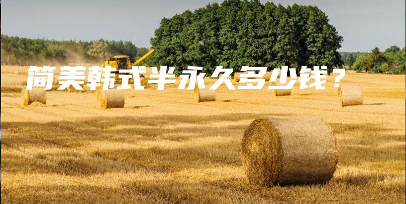 簡(jiǎn)美韓式半永久多少錢？插圖