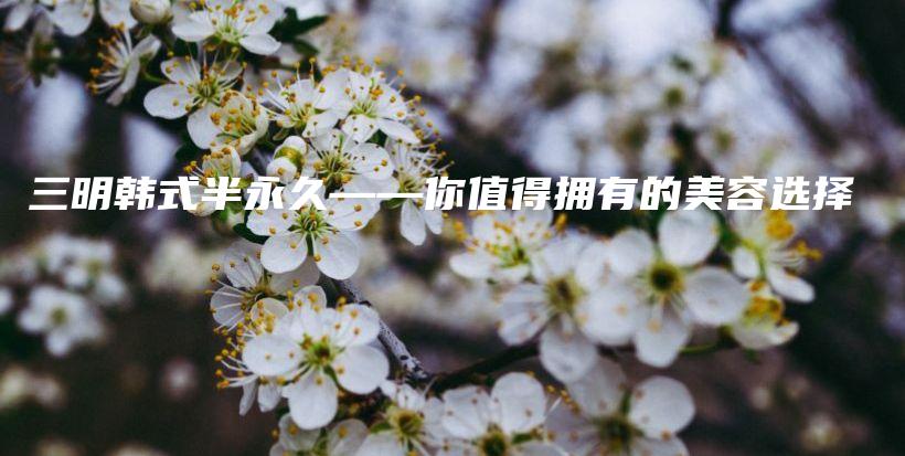三明韓式半永久——你值得擁有的美容選擇插圖